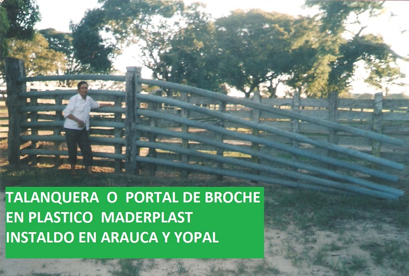 talanquera puerta tranca pasillos instalaciones de ganado corral encierro ganadería corrales ganaderos manejo de porton talanqueras trancas puertas pasillo encierros instalación ganado 006 talanquera puerta tranca pasillos instalaciones de ganado corral encierro ganadería corrales ganaderos manejo de porton talanqueras trancas puertas pasillo encierros instalación ganado 006 talanquera puerta tranca pasillos instalaciones de ganado corral encierro ganadería corrales ganaderos manejo de porton talanqueras trancas puertas pasillo encierros instalación ganado 006